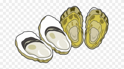 Oyster Clip Art - Oyster Clipart - Free Transparent PNG ...