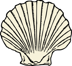 Oyster shell vector - crazywidow.info