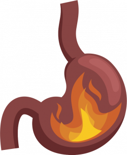 Burning Chest Pain Clip art - indigestion 648*794 transprent Png ...