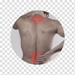 Massage Physical therapy Chiropractic Neck pain, others ...