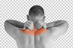 Massage Physical Therapy Neck Pain Manual Therapy PNG ...