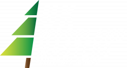 UK Woodland Masters Paintball Series
