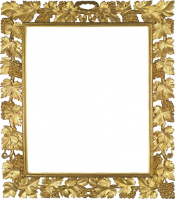 Transparent Frames | Gold Transparent PNG Photo Frame with Vine ...