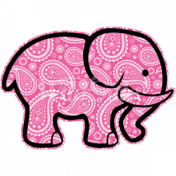 PINK PAISLEY ELEPHANT | The Wild Side