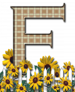 Letra con verja floral.....F | ALFABETOS | Pinterest | Flower ...