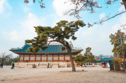 Seoul, Korea Travel Guide: A 4D/3N Itinerary – Colz Vidal