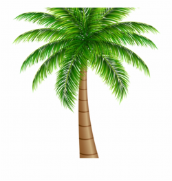 Palm Clipart Palm Tree Large Png Clip Art Image Art - Single ...