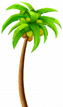 Palm PNG Clip Art - Best WEB Clipart