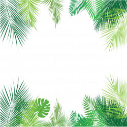 Tropical Palm Leaves PNG, Palm, Tropical Leaves, Leaves PNG and ...