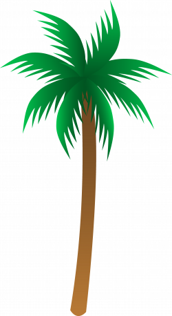 Palm Tree | Palm Tree | Palm tree clip art, Palm tree vector ...