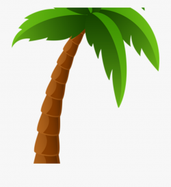 Palm Clipart Palm Tree Png Image Clipart Graphics Pinterest ...