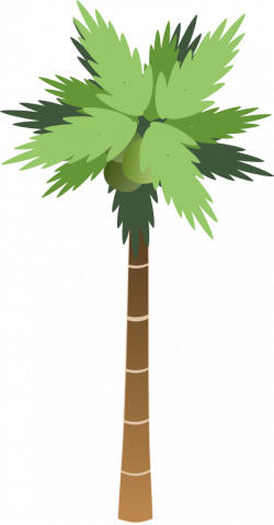 Palm Tree Clipart | i2Clipart - Royalty Free Public Domain Clipart