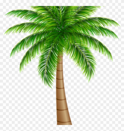 Palm Clipart Palm Tree Large Png Clip Art Image Art ...