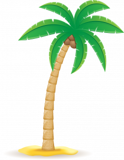 Coconut Arecaceae Clip art - coconut tree png download ...