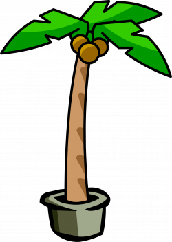 Image - Palm Tree.PNG | Club Penguin Wiki | FANDOM powered by Wikia