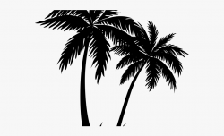 Palm Tree Clipart Curved - Palm Tree Clipart Transparent ...
