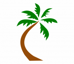 Coconut Curved Free - Transparent Palm Tree Clip Art - palm ...