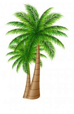 Palm Tree Clipart Transparent Png - Date Palm Tree Png ...