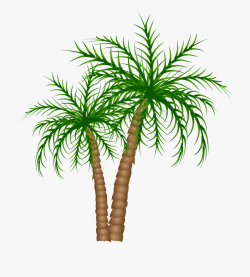 Palm Trees Png Clipart Picture - Date Tree Png File ...