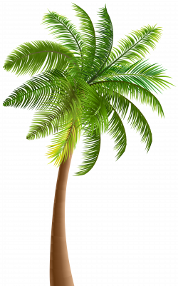 Palm PNG Clip Art | Gallery Yopriceville - High-Quality Images and ...