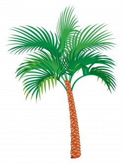 Clipart - Palm tree
