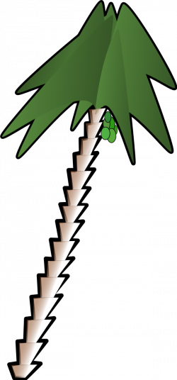 Free Palm Tree Clipart, Download Free Clip Art, Free Clip Art on ...