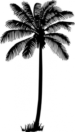 Palm tree palm silhouette clipart - ClipartPost