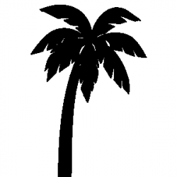 Palm tree art tropical palm trees clip 6 cliparts - ClipartPost