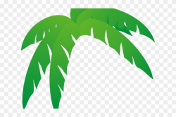 Green Leaves Clipart Jungle Leaf - Palm Frond Palm Tree Leaf ...