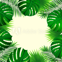Tropical palm leaves background. Exotic jungle plants card ...