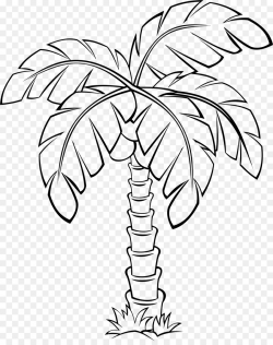 Black And White Flower clipart - Coconut, Drawing, Tree ...