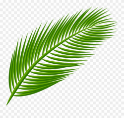 Download Palm Leaf Transparent Clipart Png Photo (#2319003 ...