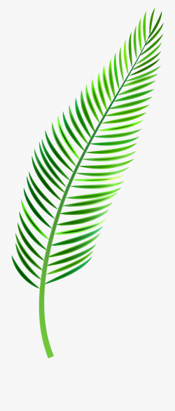 Palm Leaf Png Clip Art - Tropical Leaf Watercolor Png #8559 ...