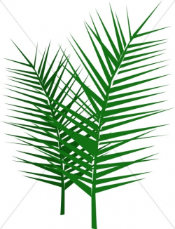 Leafy Palm Branches | Palm Sunday Clipart