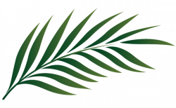 Download Palm Sunday Leaf Kid Png Images Clipart PNG Free ...