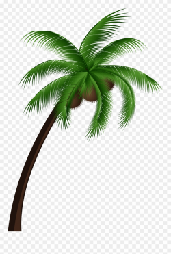 Coconut Palm Tree Png Clip Art - Coconut Tree Vector Png ...