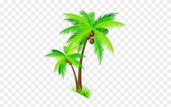 Palm Tree Clipart Realistic - Coconut Tree Clipart Png ...