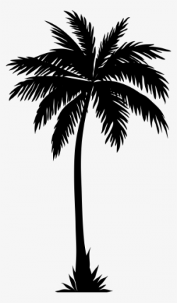 Palm Tree Silhouette PNG Images | PNG Cliparts Free Download ...