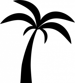 Palm Tree Svg Png Icon Free Download (#40112) - OnlineWebFonts.COM