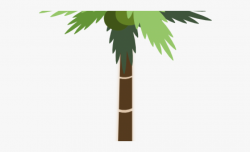 Palm Tree Clipart Tall Short Tree - Palm Tree Clip Art ...