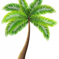 Palm Tree Painting Elegant Palm Tree Art Tropical Palm Trees Clip ...