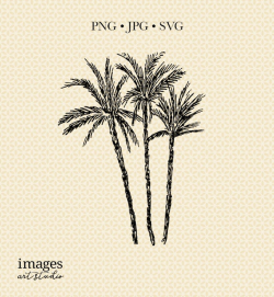 Vintage Palm clipart, Palms clipart, Palms clip art, Vintage Palms art,  Digital Palms, 3 Palms, Multiple Palms art, Palm Download
