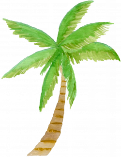 watercolor palm tree, clipart, palm tree, palm tree clipart ...