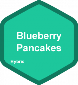 Blueberry Pancakes, hybrid | The Duber