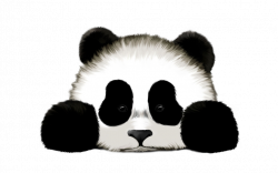 White And Black Panda Sad Picture - Images, Photos, Pictures