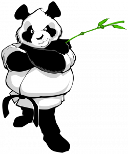 Panda | Brazilian Jiu Jitsu Shirts