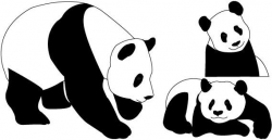 Panda Clipart printable 5 - 569 X 294 Free Clip Art stock ...