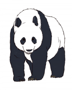 How to Draw Realistic Panda Bears -- via wikiHow.com ...