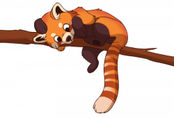 Penn the Red Panda by AliceParkes on DeviantArt