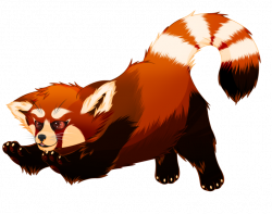 Red Panda by lostintheflowoftime on DeviantArt